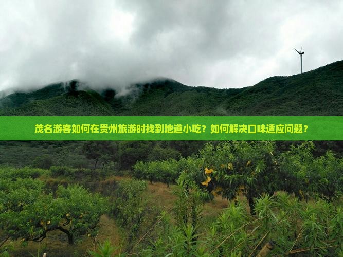 茂名游客如何在贵州旅游时找到地道小吃？如何解决口味适应问题？