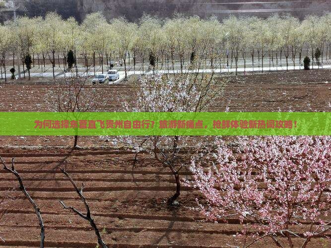 为何选择东营直飞贵州自由行？旅游新痛点，抢鲜体验新热词攻略！