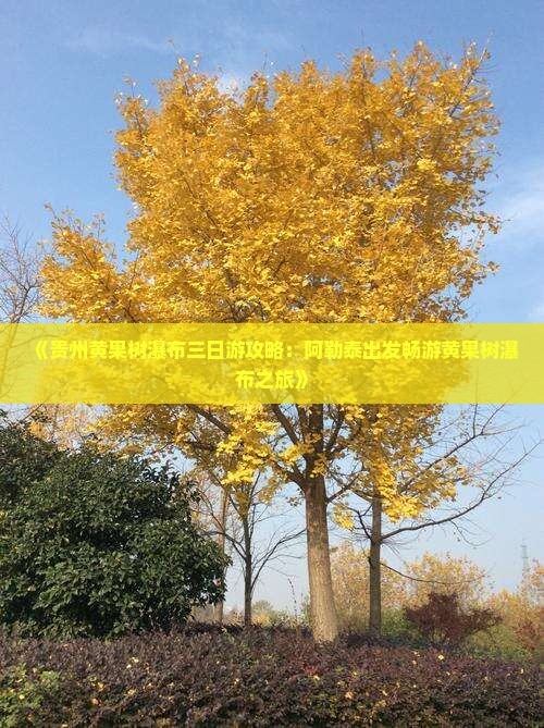 《贵州黄果树瀑布三日游攻略：阿勒泰出发畅游黄果树瀑布之旅》
