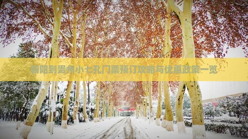 朝阳到贵州小七孔门票预订攻略与优惠政策一览