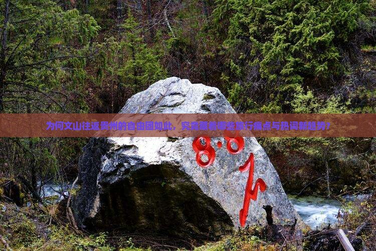 为何文山往返贵州的自由团如此，究竟藏着哪些旅行痛点与热词新趋势？