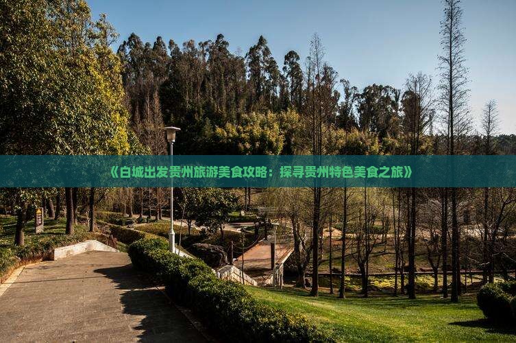 《白城出发贵州旅游美食攻略：探寻贵州特色美食之旅》