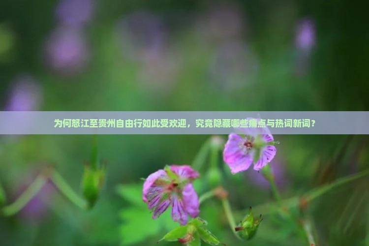 为何怒江至贵州自由行如此受欢迎，究竟隐藏哪些痛点与热词新词？