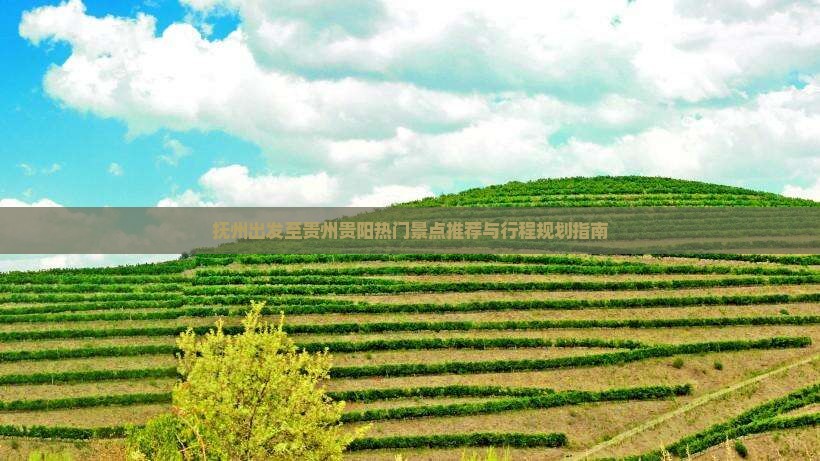 抚州出发至贵州贵阳热门景点推荐与行程规划指南