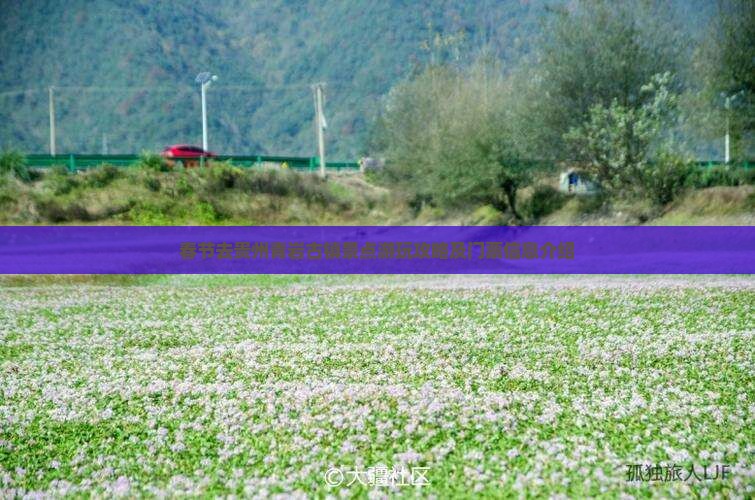 春节去贵州青岩古镇景点游玩攻略及门票信息介绍