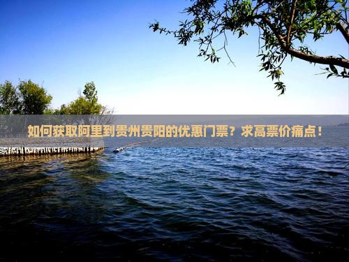 如何获取阿里到贵州贵阳的优惠门票？求高票价痛点！