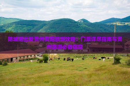 防城港出发贵州贵阳旅游攻略：门票详尽指南与贵州旅游必备信息