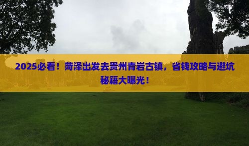 菏泽去贵州青岩古镇个人游