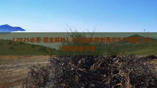 大丰到贵州西江千户苗寨二日游