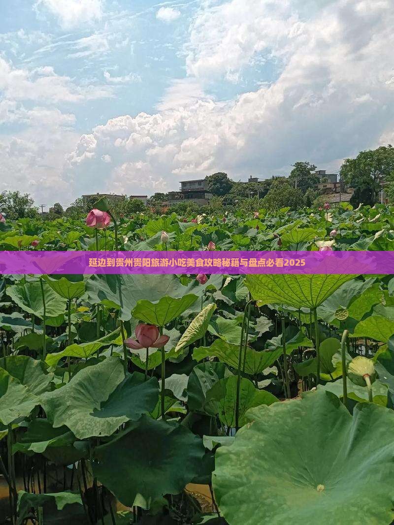 延边到贵州贵阳旅游小吃
