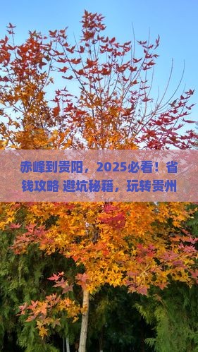 赤峰到贵州贵阳哪里玩
