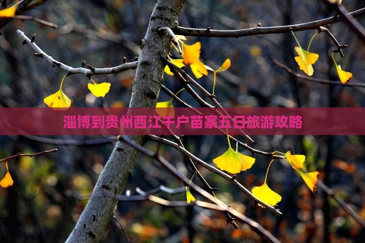 淄博到贵州西江千户苗寨五日游