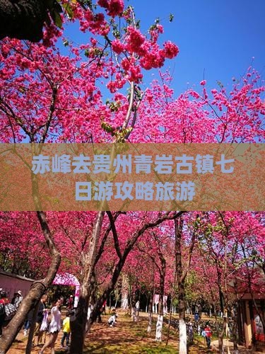 赤峰去贵州青岩古镇七日游