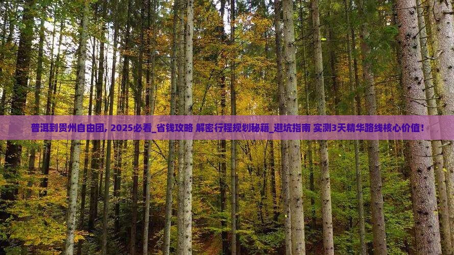 普洱到贵州自由团
