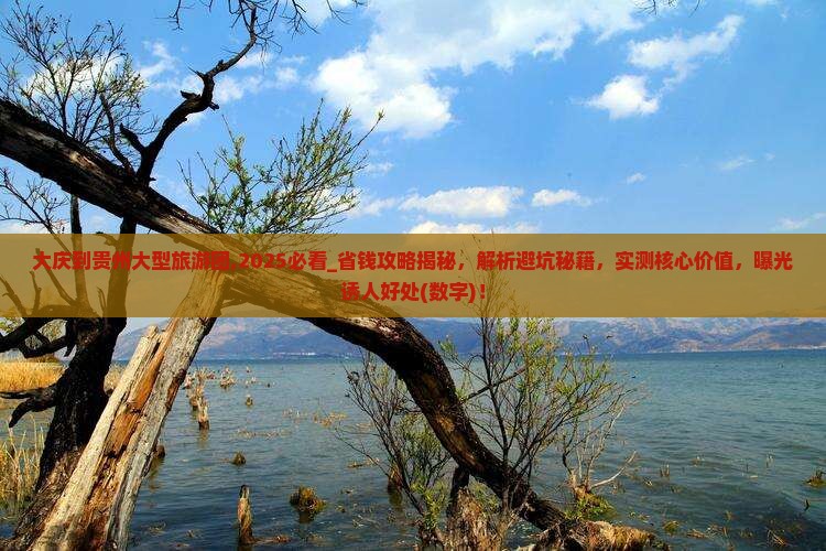 大庆到贵州大型旅游团