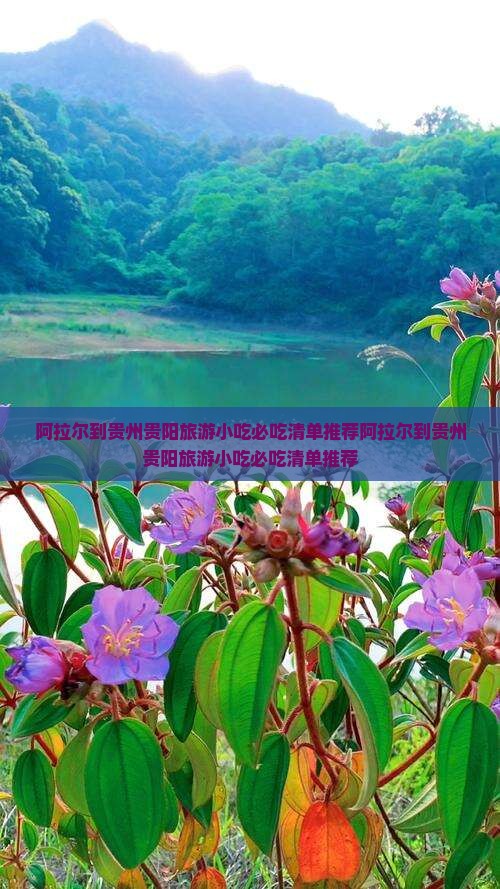 阿拉尔到贵州贵阳旅游小吃