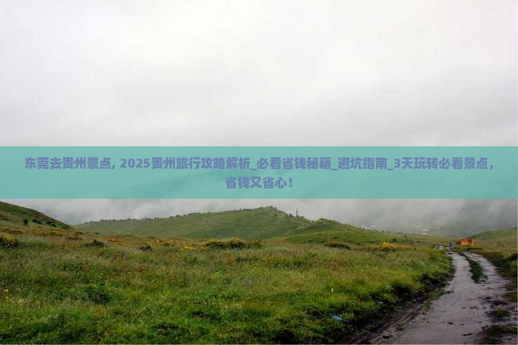 东莞去贵州景点