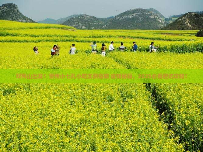 双鸭山到贵州小七孔旅游小吃