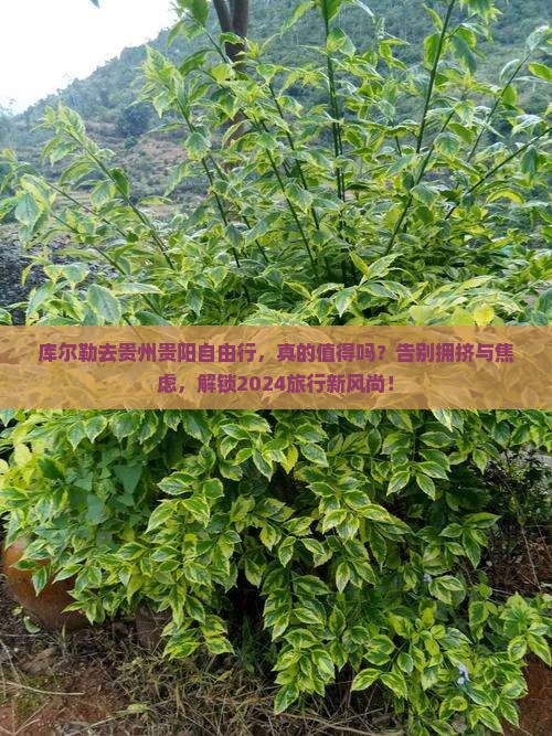 库尔勒去贵州贵阳自由行
