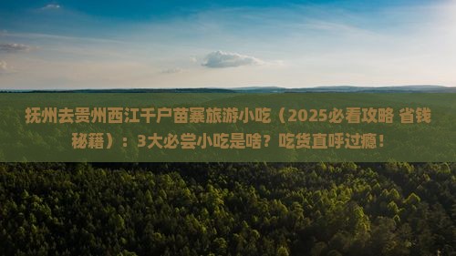 抚州去贵州西江千户苗寨旅游小吃