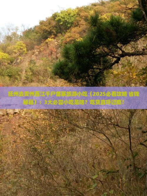 抚州去贵州西江千户苗寨旅游小吃