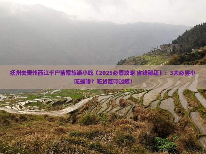 抚州去贵州西江千户苗寨旅游小吃