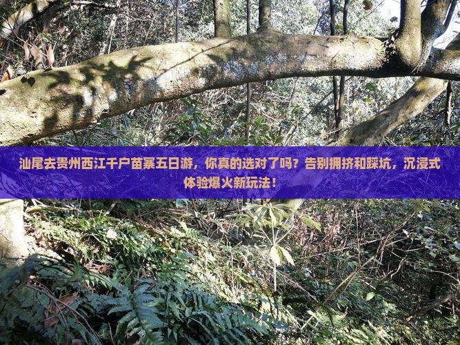 汕尾去贵州西江千户苗寨五日游
