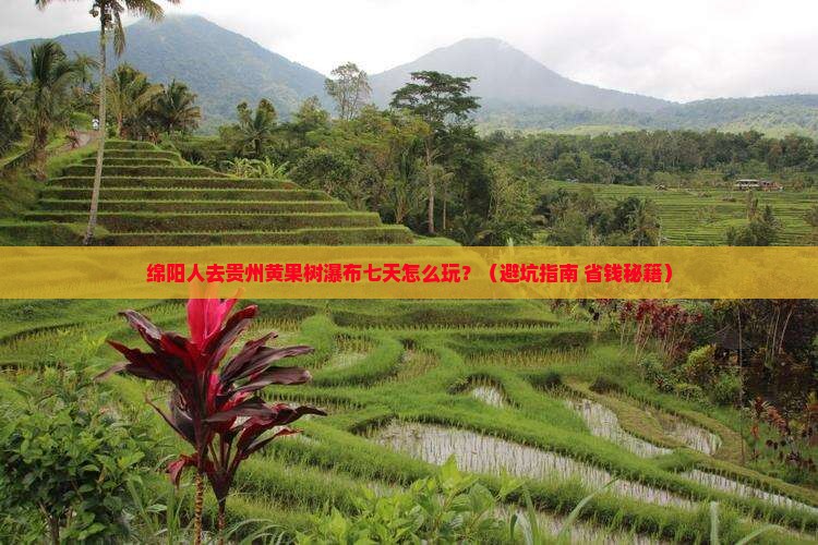 绵阳去贵州黄果树瀑布七日游