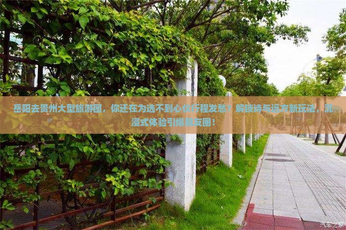 岳阳去贵州大型旅游团