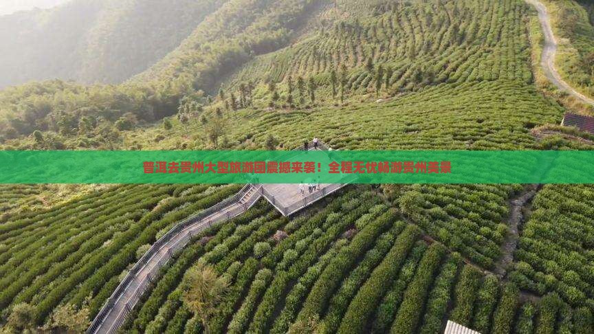 普洱去贵州大型旅游团