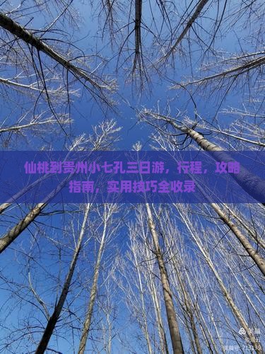 仙桃到贵州小七孔三日游