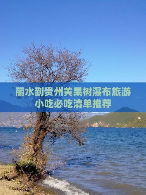 丽水到贵州黄果树瀑布旅游小吃