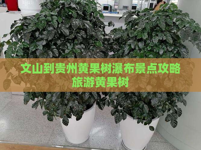 文山到贵州黄果树瀑布团体旅游