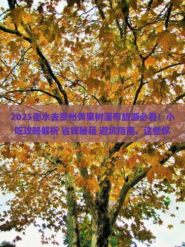 衡水去贵州黄果树瀑布旅游小吃