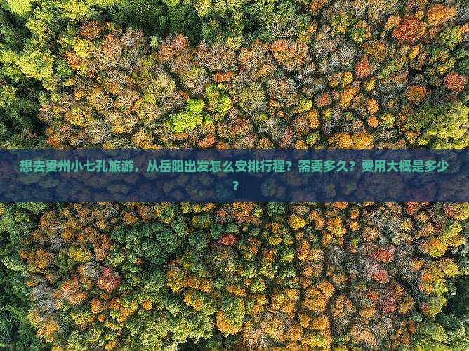 想去贵州小七孔旅游，从岳阳出发怎么安排行程？需要多久？费用大概是多少？