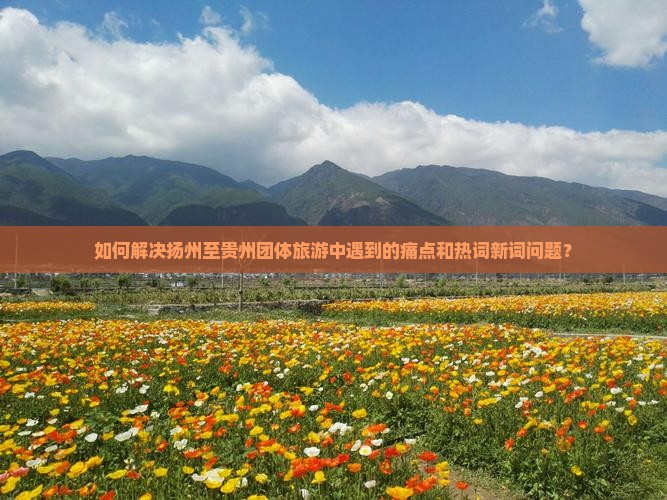如何解决扬州至贵州团体旅游中遇到的痛点和热词新词问题？