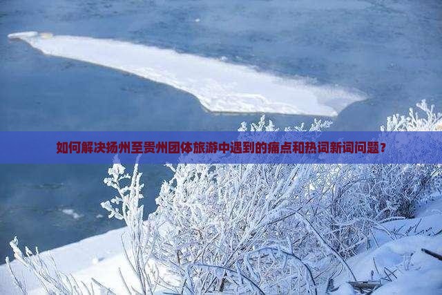 如何解决扬州至贵州团体旅游中遇到的痛点和热词新词问题？