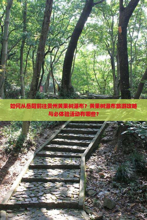 如何从岳阳前往贵州黄果树瀑布？黄果树瀑布旅游攻略与必体验活动有哪些？