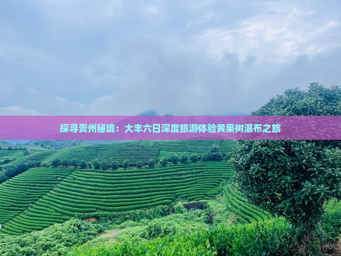 探寻贵州秘境：大丰六日深度旅游体验黄果树瀑布之旅