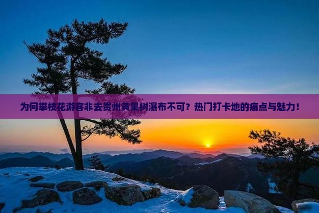 为何攀枝花游客非去贵州黄果树瀑布不可？热门打卡地的痛点与魅力！