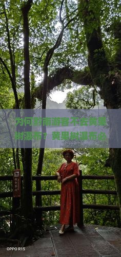 为何黔南游客不去黄果树瀑布?黄果树瀑布必去理由及痛点解决方案! 为何黔南游客不去黄果树瀑布?黄果树瀑布必去理由及痛点解决方案!