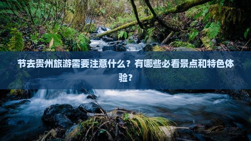 节去贵州旅游需要注意什么？有哪些必看景点和特色体验？