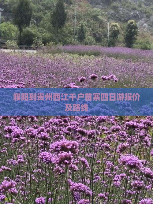 濮阳到贵州西江千户苗寨四日游报价及路线