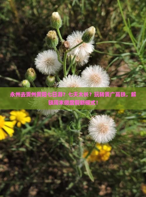 永州去贵州贵阳七日游？七天太长？玩转贵广高铁，解锁周末微度假新模式！