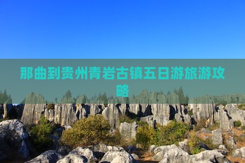 那曲到贵州青岩古镇五日游旅游攻略