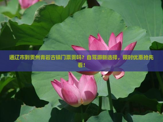 通辽市到贵州青岩古镇门票贵吗？自驾游新选择，限时优惠抢先看！