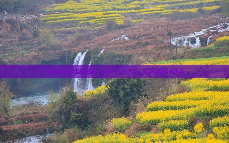 亳州到贵州大型旅游团？老年人出行不便，定制化服务成热点