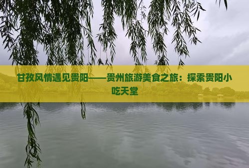 甘孜风情遇见贵阳——贵州旅游美食之旅：探索贵阳小吃天堂