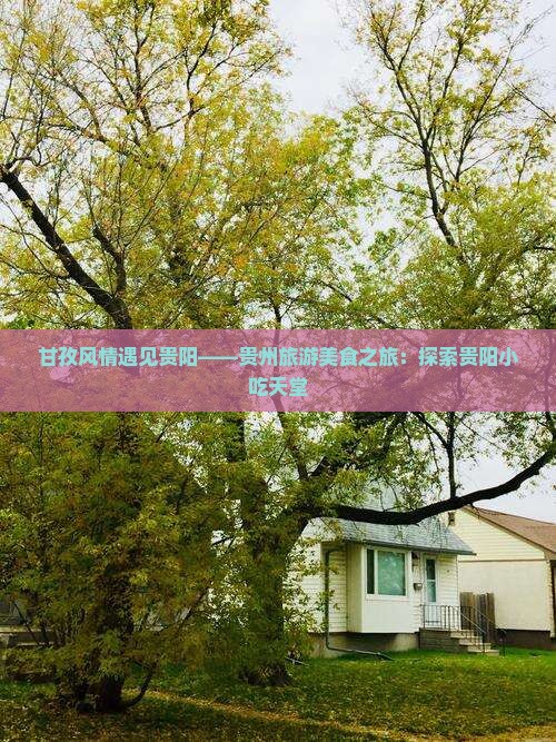 甘孜风情遇见贵阳——贵州旅游美食之旅：探索贵阳小吃天堂