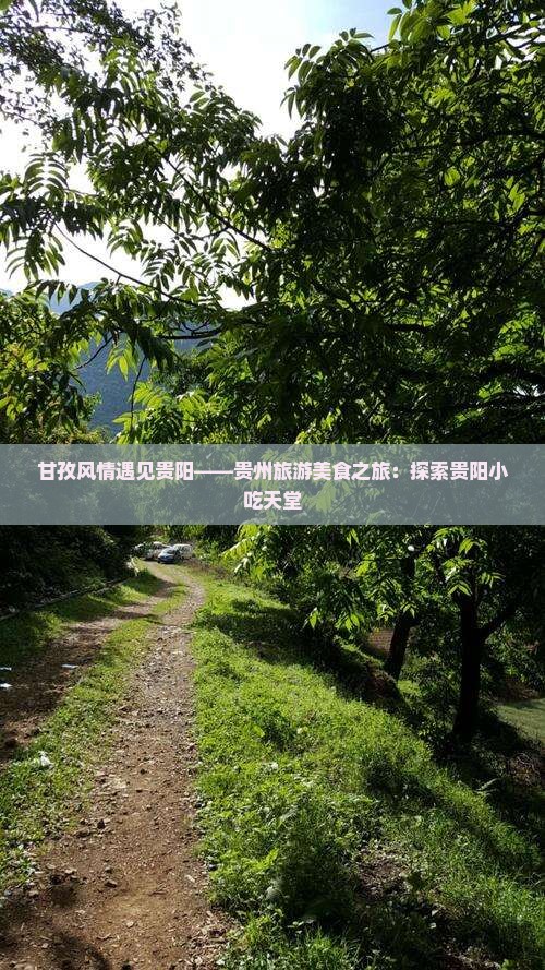 甘孜风情遇见贵阳——贵州旅游美食之旅：探索贵阳小吃天堂